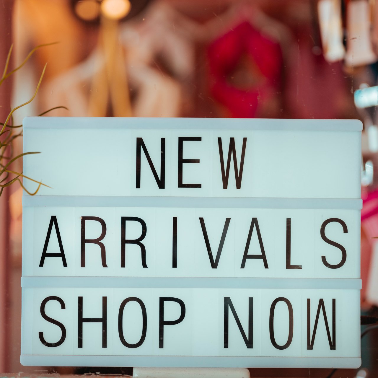 NEW ARRIVALS - Stacy Nicole Home