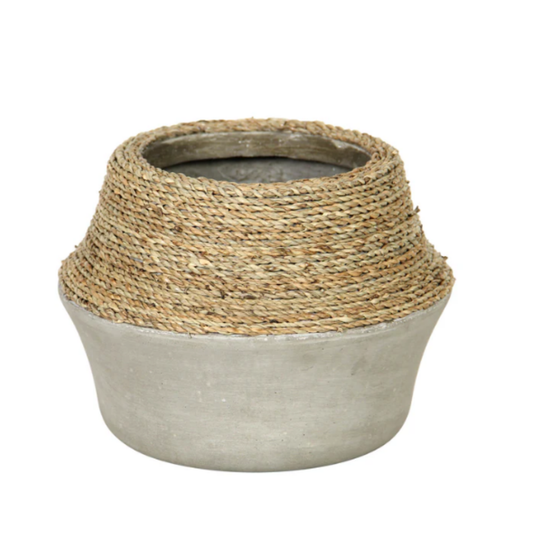 Nature Milk Jug Grass + Concrete Pot