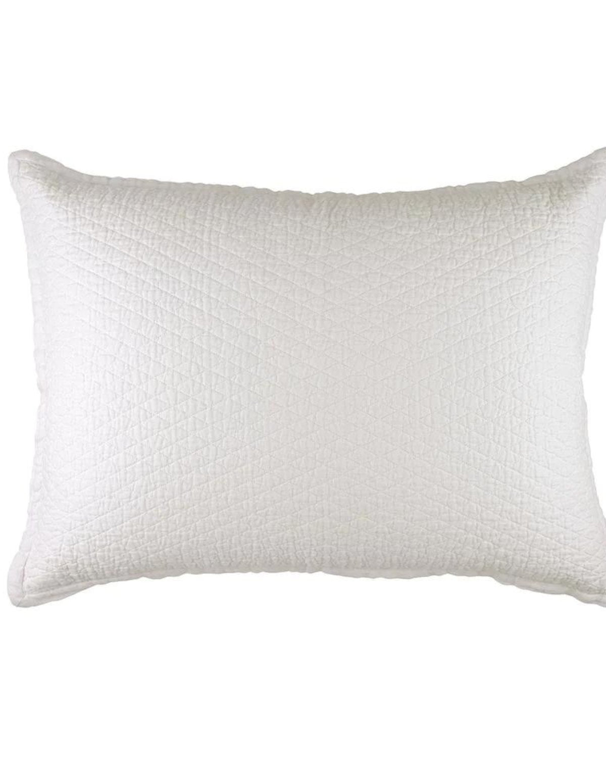 Dawn Luxe Euro Pillow White - Stacy Nicole Home